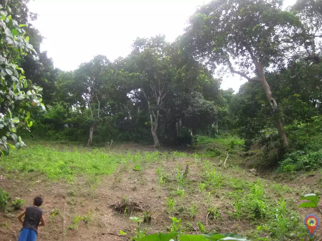 Lot for sale in Kalunasan, Cebu City for only Php1,500/sqm. - photo 3