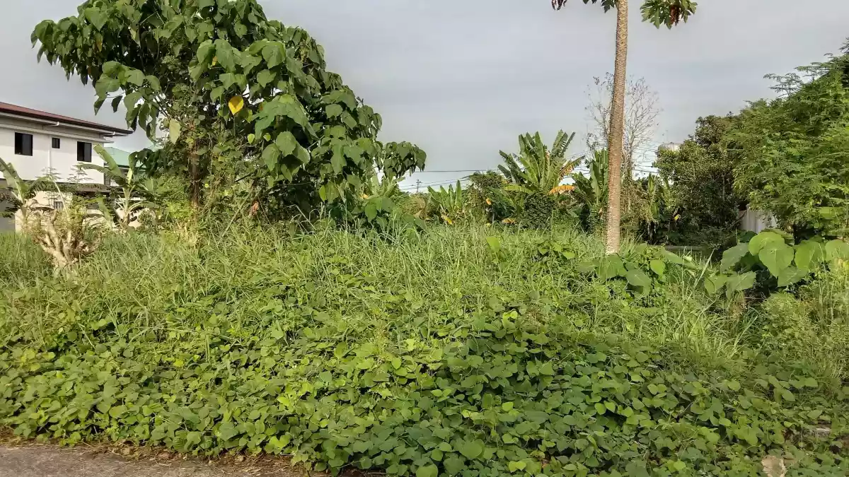 RESIDENTIAL LOT AVAILABLE — Residential Lot in Jaro, Iloilo City, Iloilo — Photo 4