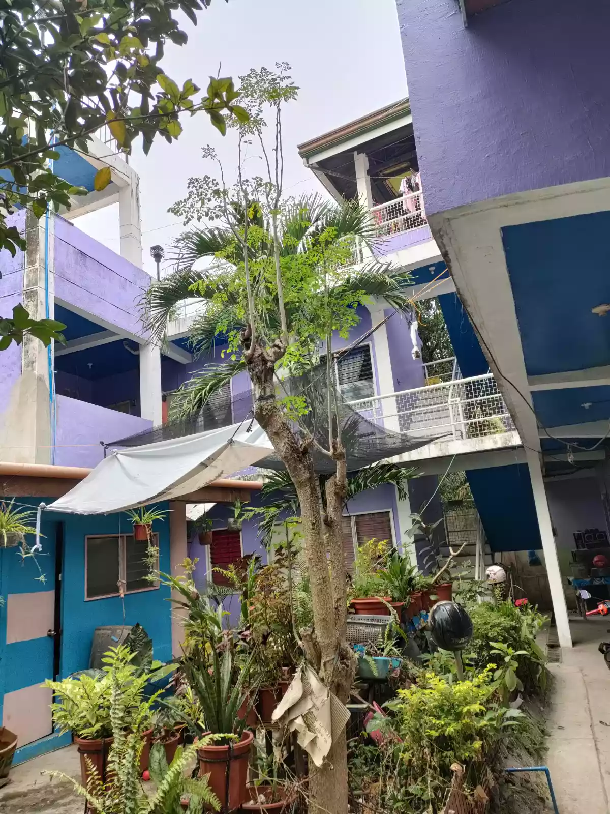 Boarding House — Boarding House in Danao City, Cebu, Philippines — Photo 6