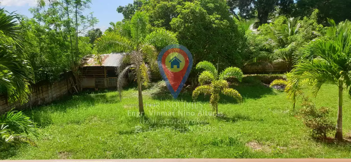 Open photo 17 of 19 — Overlooking House and Lot