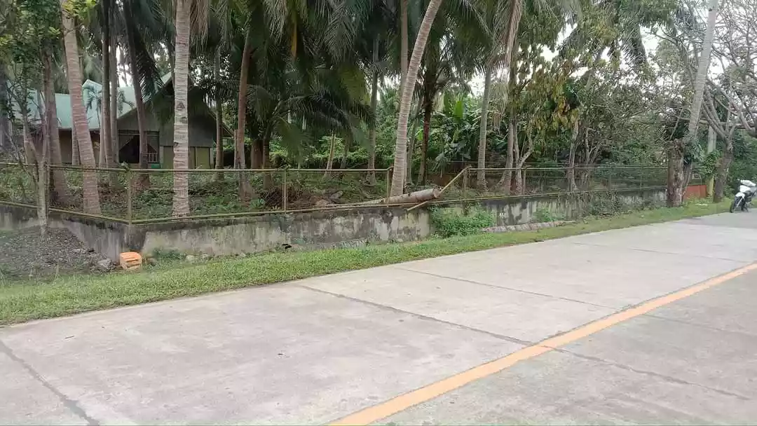 Residential Lot for Sale In Panglao Bohol - photo 4