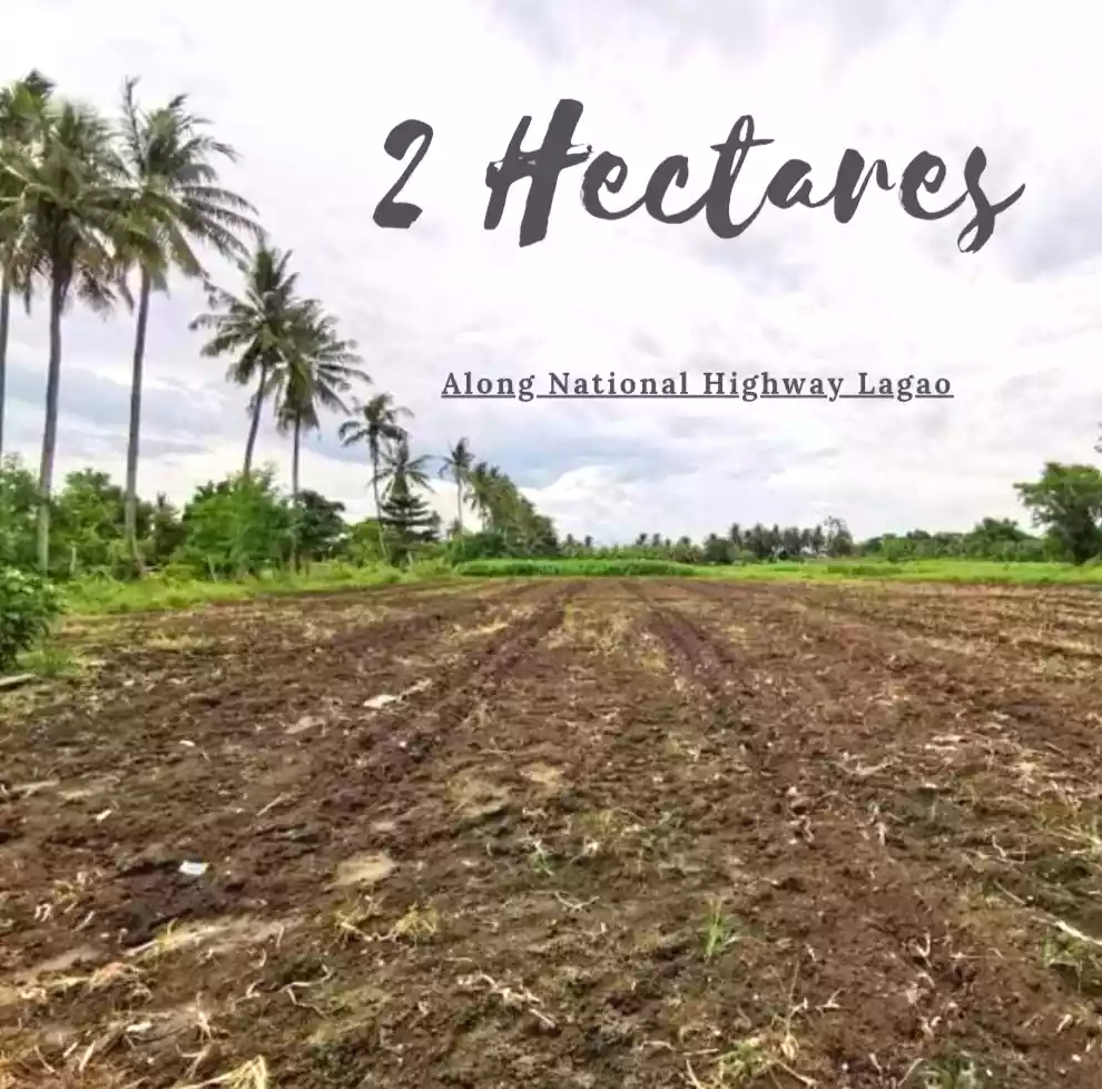 2 Hectares Property Along National Highway Lagao — Commercial Lot in Asian Highway 26, General Santos City, South Cotabato — Photo 2