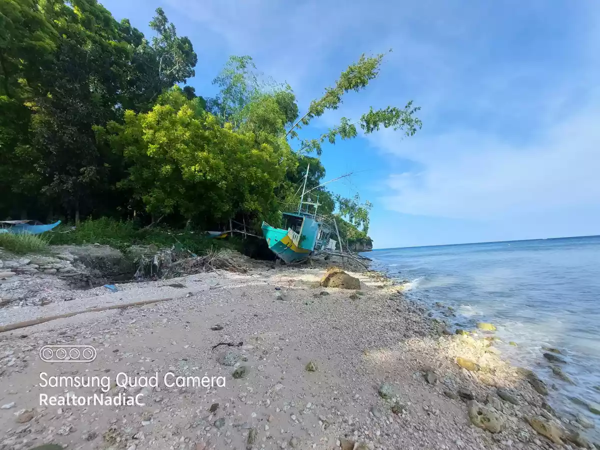 BEACH LOT for SALE in Oslob, Cebu for 25M — Beach Lot in Oslob, Cebu, Philippines — Photo 2