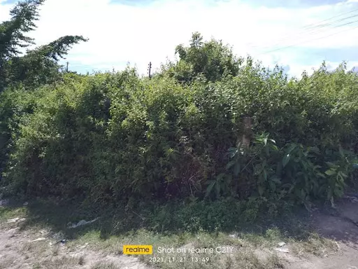 COMMERCIAL LOT FOR SALE — Commercial Lot in Lapu-Lapu City, Cebu, Philippines — Photo 4