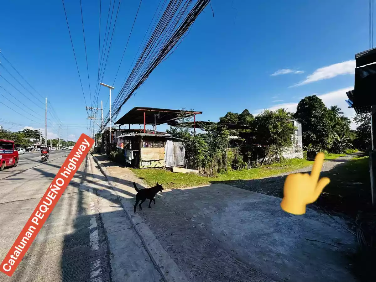 Residential Lot for Sale in Catalunan Pequeño — Residential Lot in Talomo, Davao City, Davao del Sur — Photo 3
