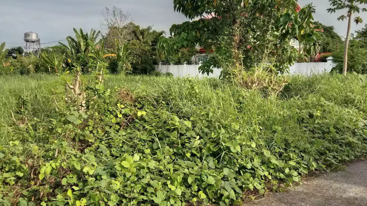 RESIDENTIAL LOT AVAILABLE — Residential Lot in Jaro, Iloilo City, Iloilo — Photo 2