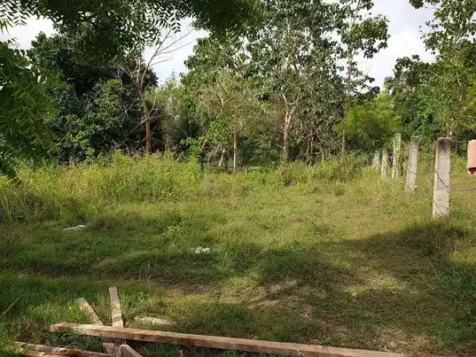 Individual 200qm lots in HV Subdivision Badian for Sale