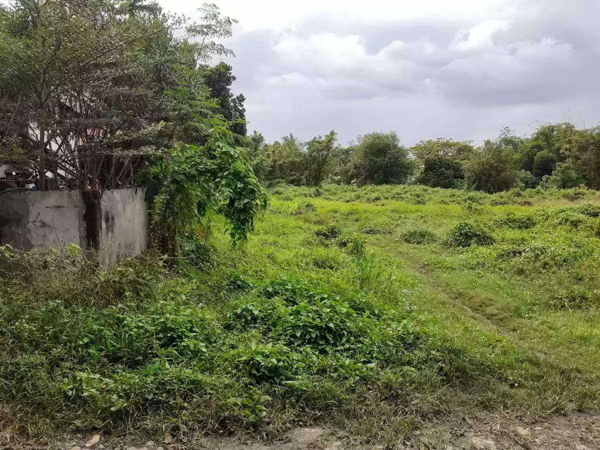 Residential Lot Brgy. Natumolan Tagoloan 1,000sqm - photo 3