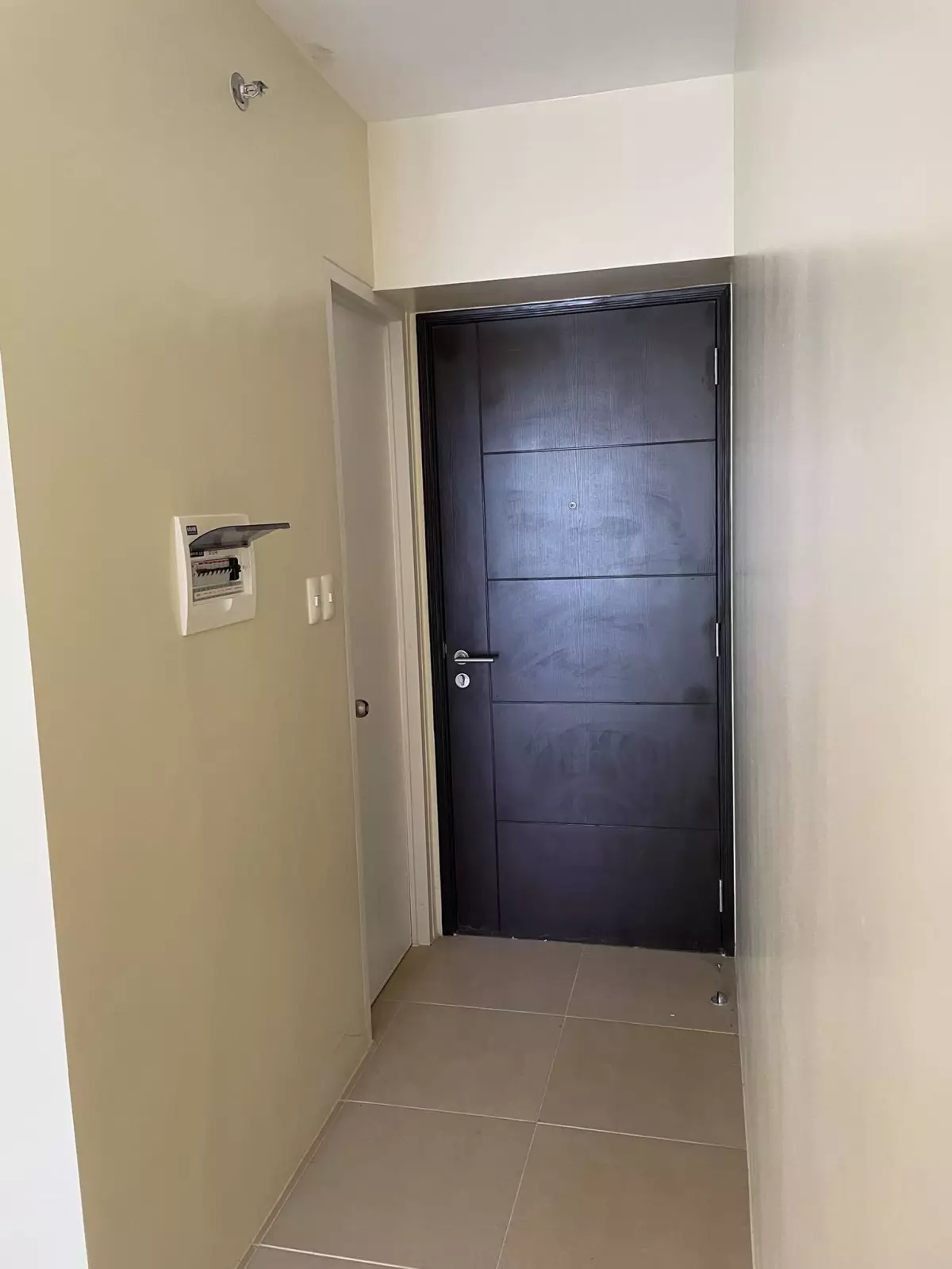 Avida Riala Tower 3 - Studio Unit - photo 6