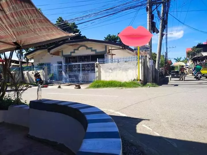 For sale Commercial Lot with house — House and Lot in Cebu, Philippines — Photo 3