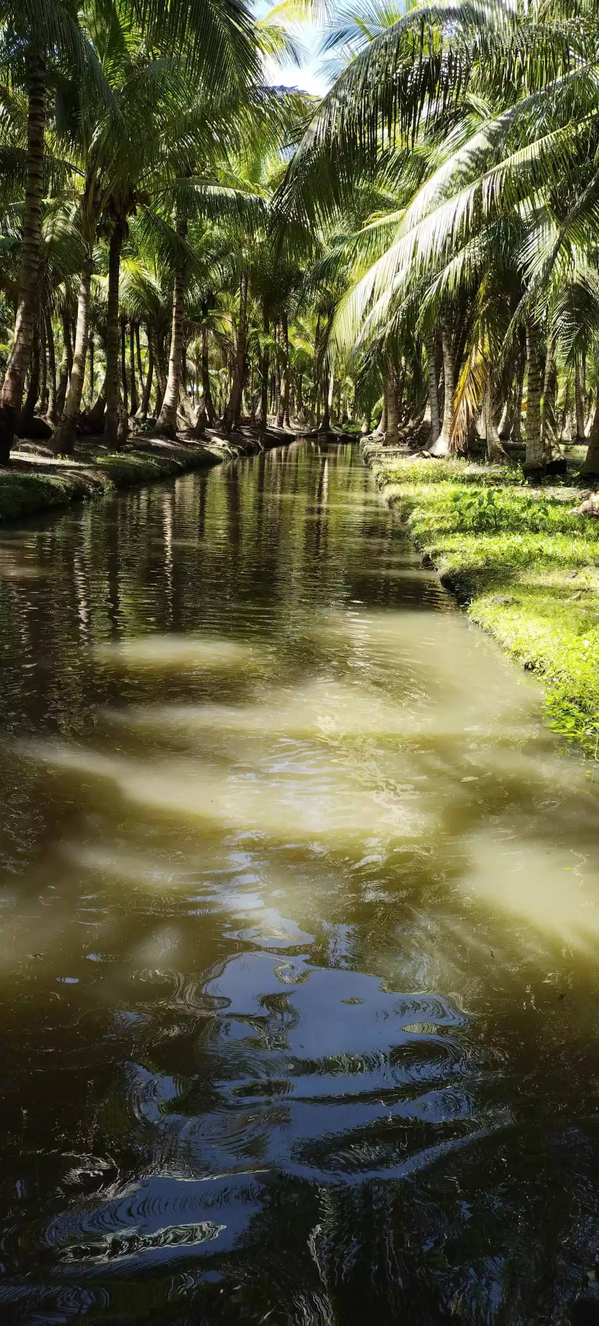 All in deal at tokawal - photo 7