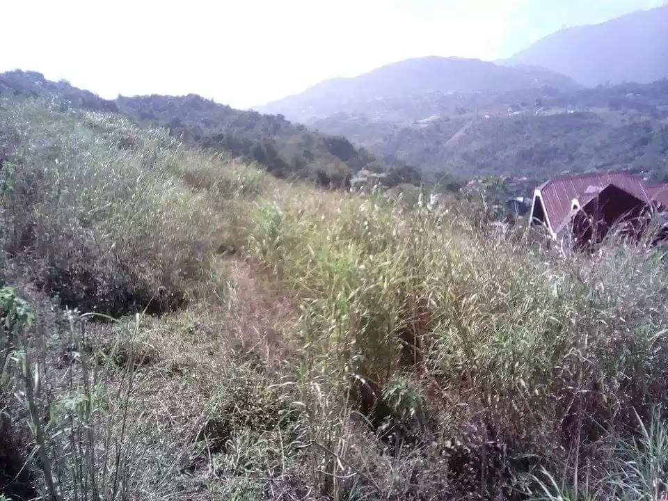 Alta Verde Subdivision- Baguio City — Residential Lot in Asin Road, Tuba, Benguet — Photo 3