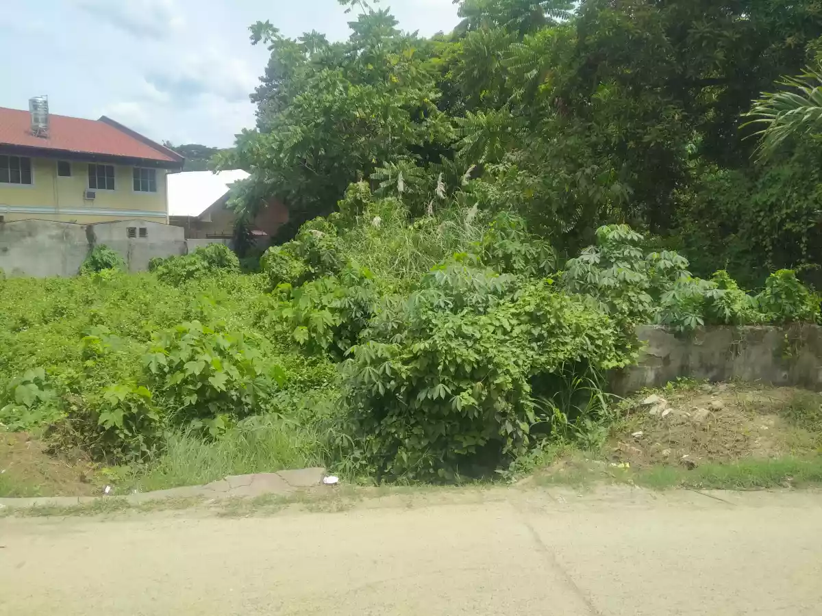 RESIDENTIAL LOT IN TUNGHAAN - photo 7