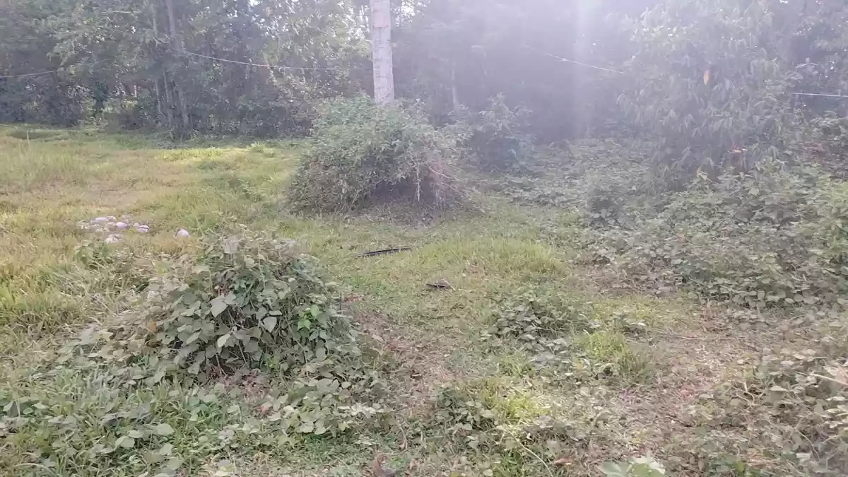 LOT FOR SALE!!! - photo 3