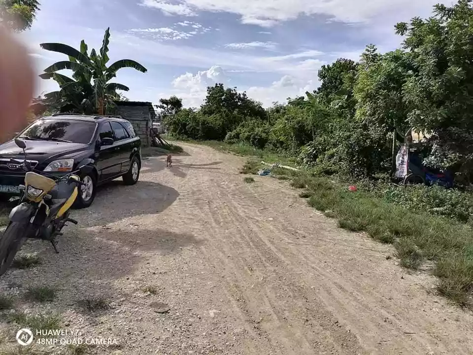 Lot for Sale - photo 4