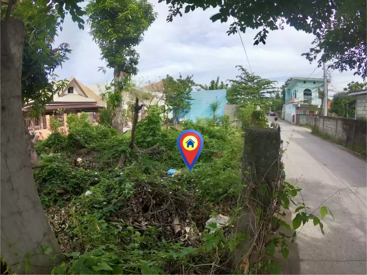 Commercial / Residential Dual Corner Lot For Sale Along Concrete Road at Junob, Dumaguete City — Residential Lot in Dumaguete, Negros Oriental, Philippines — Photo 4
