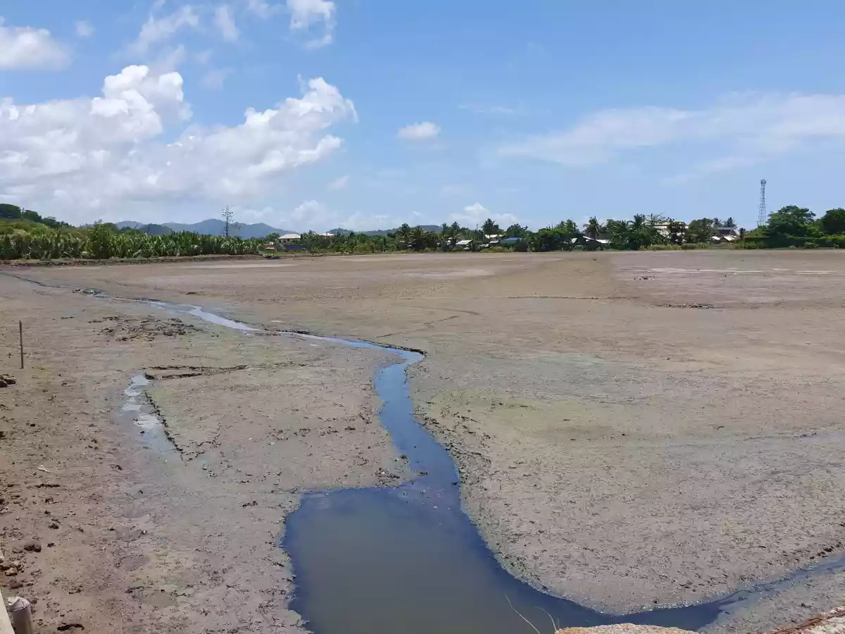 Developers' Pick! Prime Location for Township/Commercial Development in Roxas City - photo 5