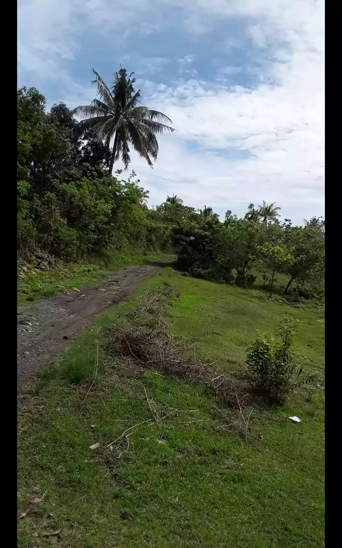lot only for sale — Residential Lot in Bohol, Philippines — Photo 2