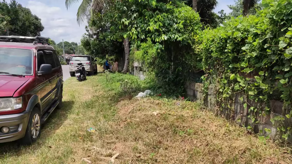 Commercial property 8646 sqm along road - photo 5
