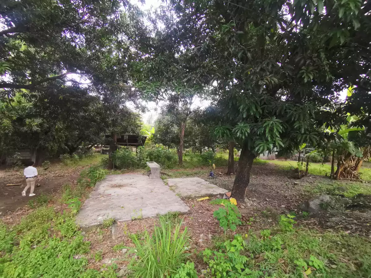 1200sqm Lot with House along the National Highway of Municipality of Sulop Davao Del Sur — Commercial Lot in Pan-Philippine Highway, Sulop, Davao del Sur — Photo 5
