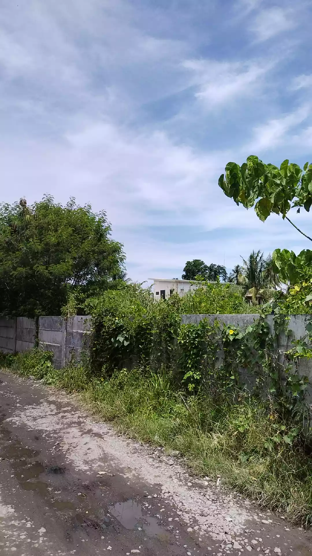 Corner lot near nddu IBED  - photo 6