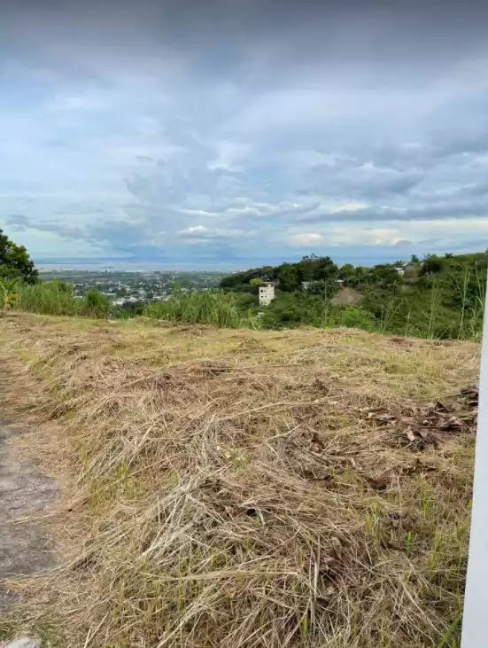 Pacific Heights Subdivision Lot — Residential Lot in Talisay City — Photo 4