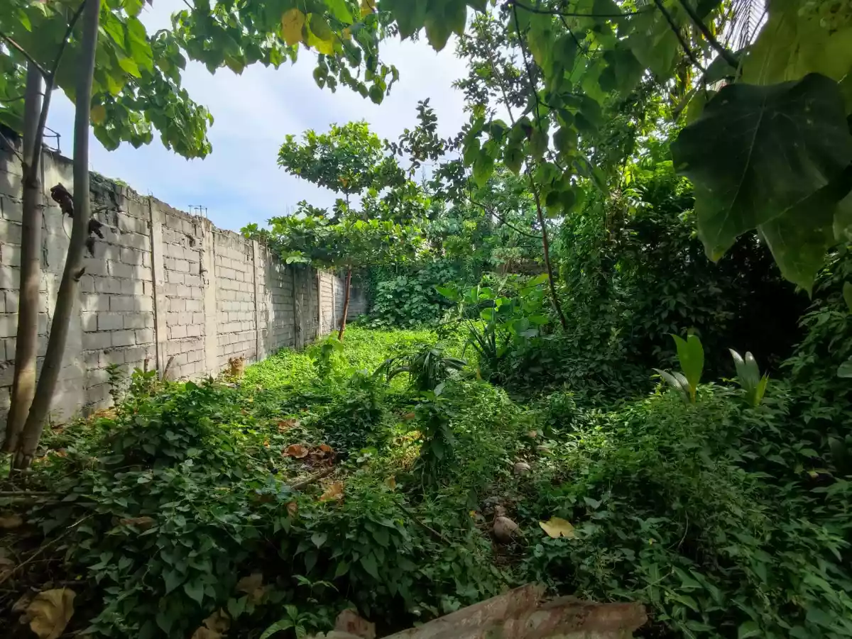 Residential Lot For Sale — Residential Lot in General Santos City, South Cotabato, Philippines — Photo 6