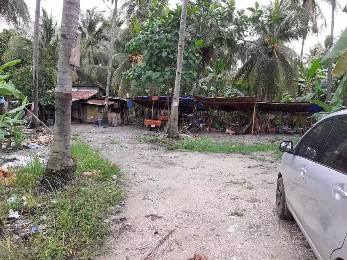 Lot 2.5 hectares - photo 7