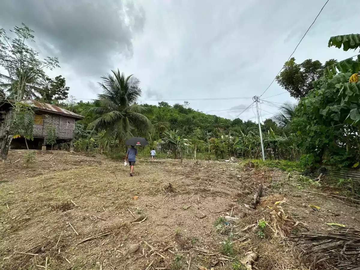 Agricultural land For Sale in Minglanilla Cebu — Agricultural Lot in Lower Tunghaan St, Tunghaan Minglanilla, Minglanilla — Photo 4
