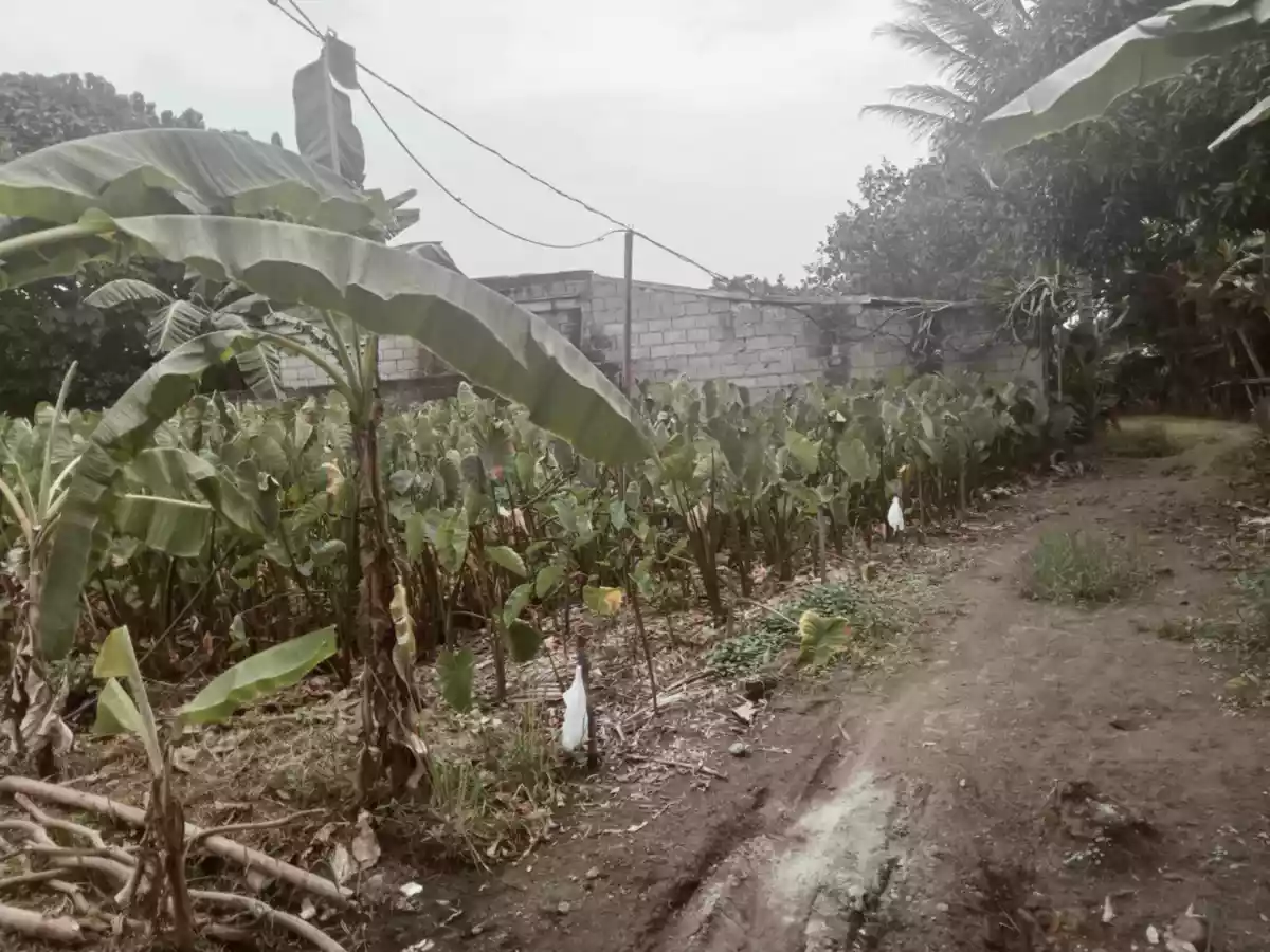 LOT for Sale! — Residential Lot in Sto Niño Road, Dumaguete, Negros Oriental — Photo 2