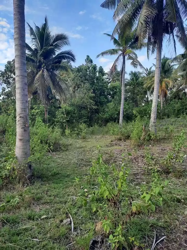 LOT for sale - photo 7