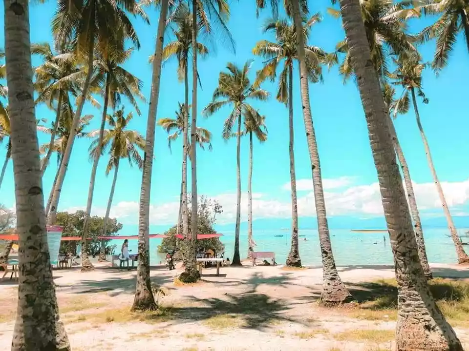 Titled Beach Lot - photo 3