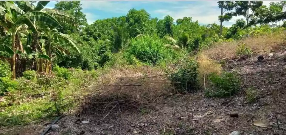 Lot for Sale in Biking Dauis, Bohol — Residential Lot in Dauis, Bohol, Philippines — Photo 4