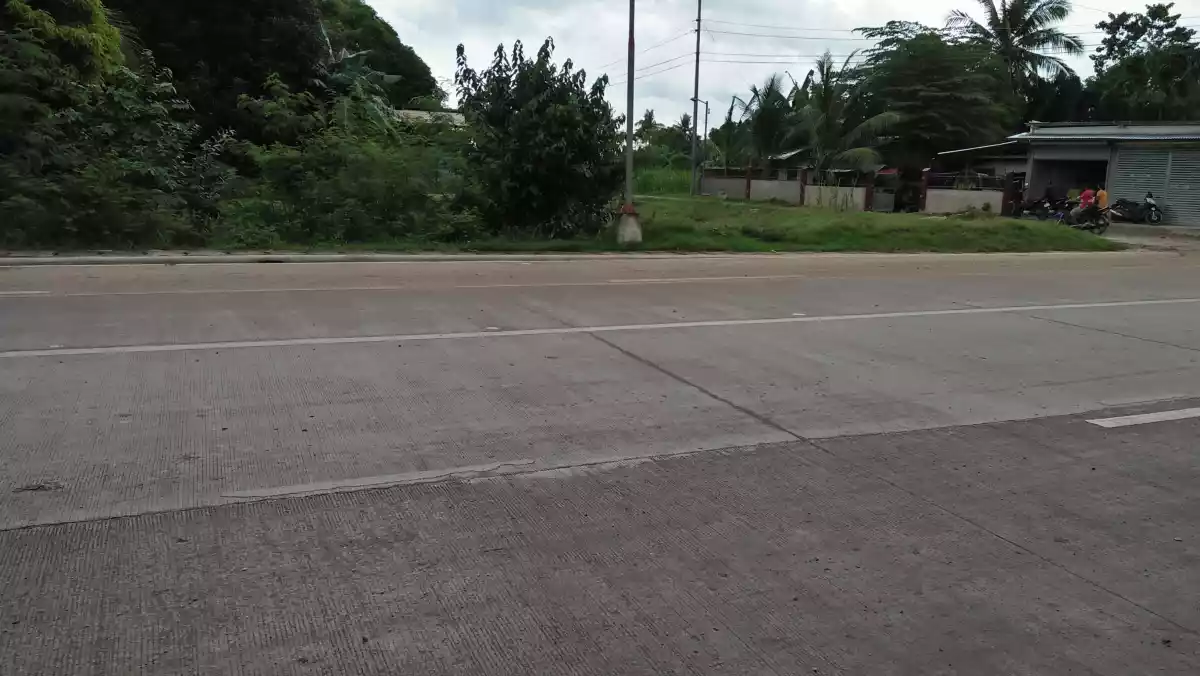 45 hectares Farm Land for Sale - photo 4