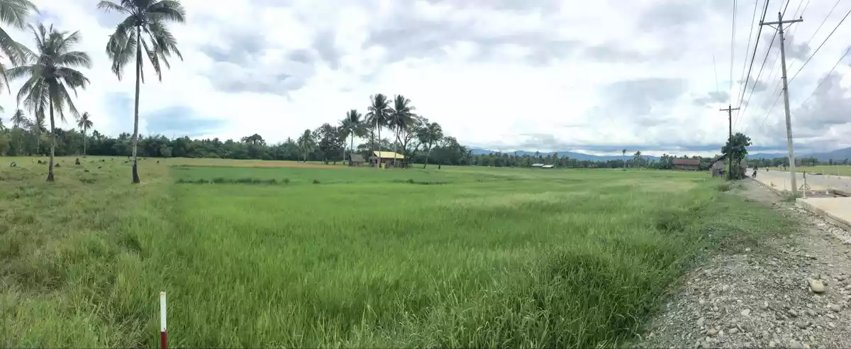 11,195 sqm along National rd. Calagda-an,Cantilan Surigao del sur - photo 5