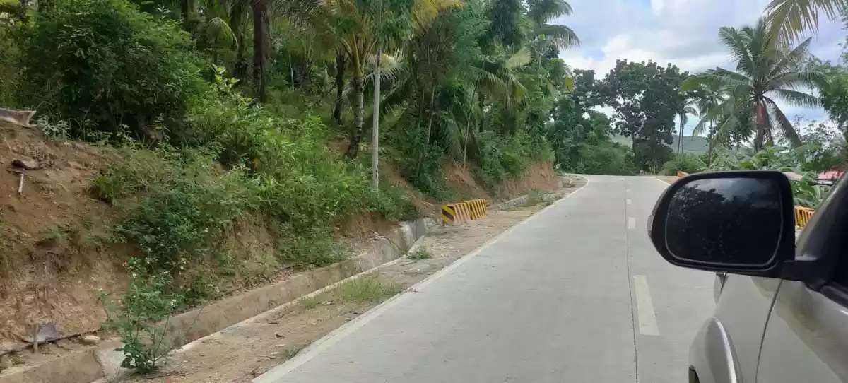 LOT ONLY with BEAUTIFUL VIEW — Agricultural Lot in Cebu, Philippines — Photo 6