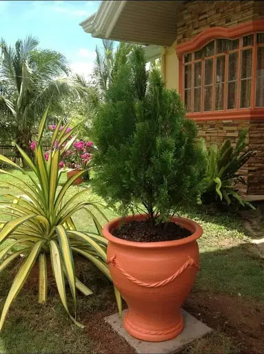 HOUSE AND LOT FOR SALE IN MAASIN LEYTE — House and Lot in Southern Leyte, Philippines — Photo 2
