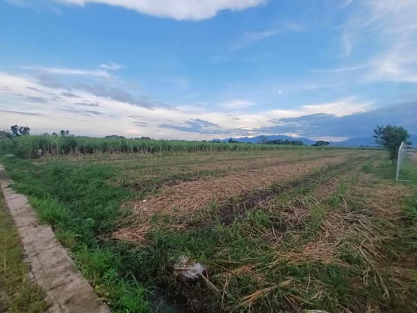Lot - Silay City along Cir. Road going EB Magalona - photo 2