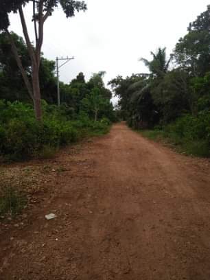 Lot Only — Agricultural Lot in Panglao, Bohol, Philippines — Photo 6