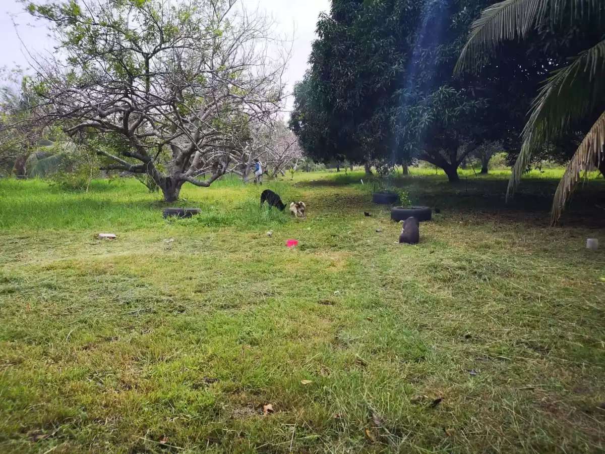 Open photo 14 of 15 — Property for Sale in panglao