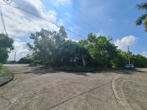 Lot for Sale in Alta Vista Subdivision 