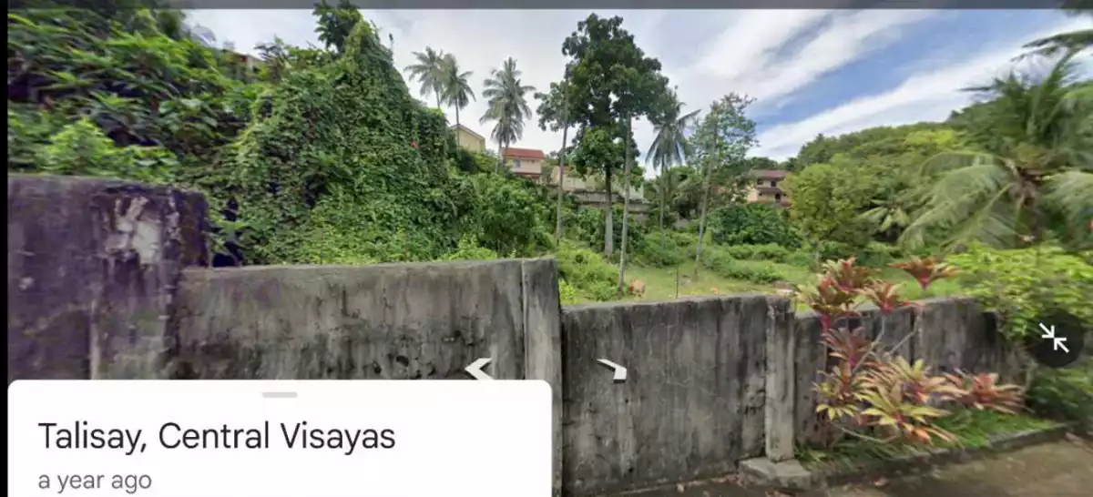 Titled Lot in Talisay For Sale — Residential Lot in Talisay, Cebu, Philippines — Photo 5