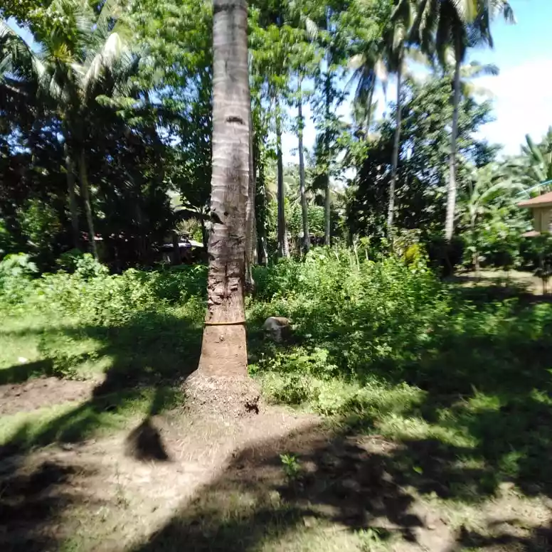 Lot in Toril, Samal