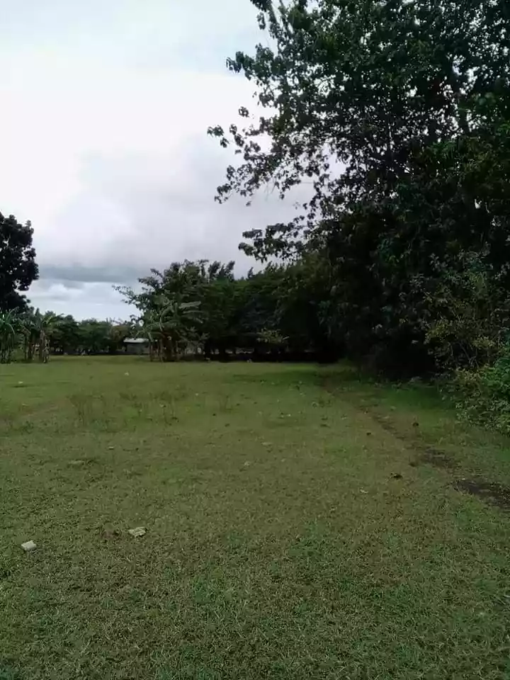 Commercial lot - photo 3