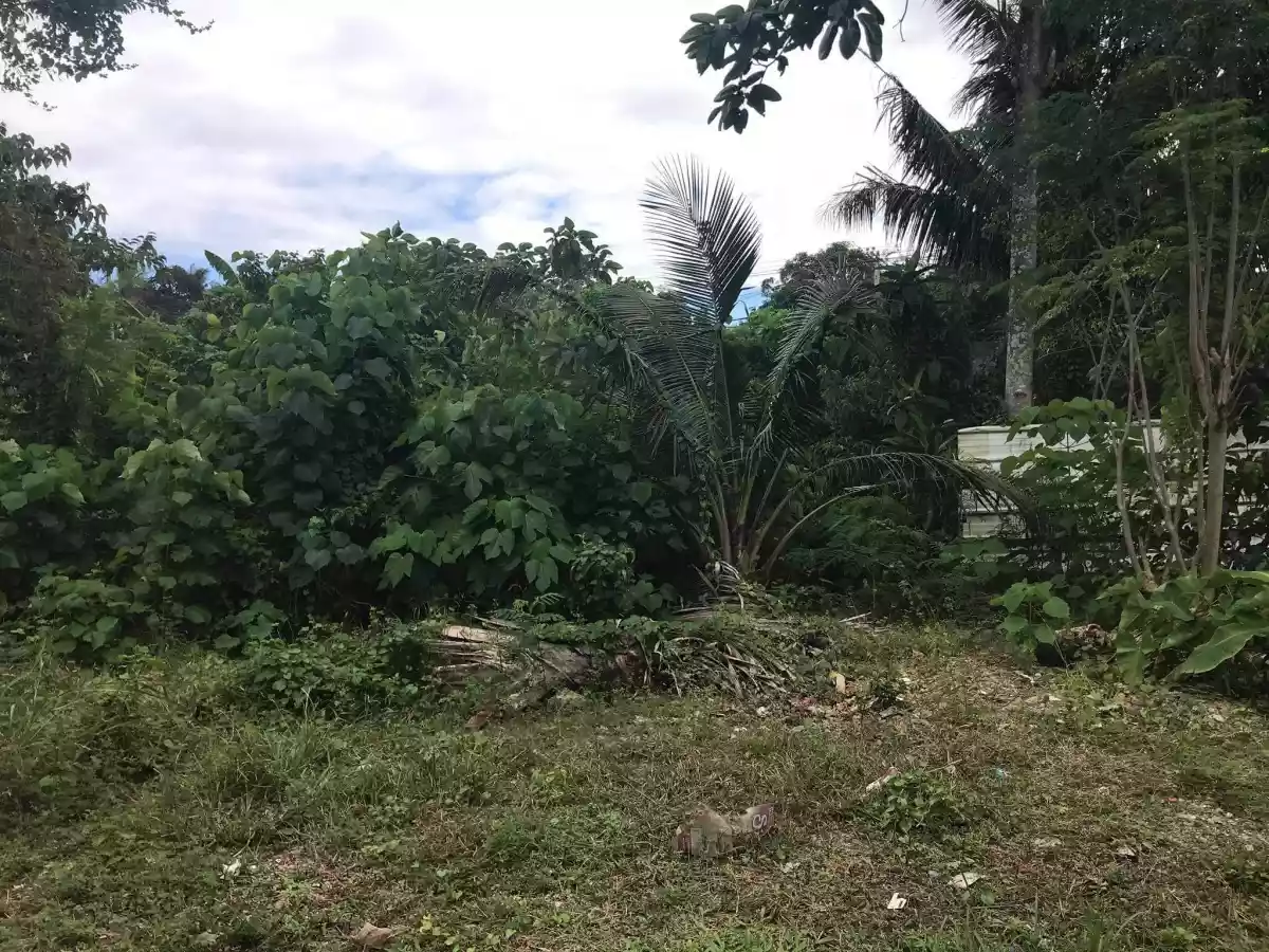Lot for Sale - Rush Titled Property - photo 5