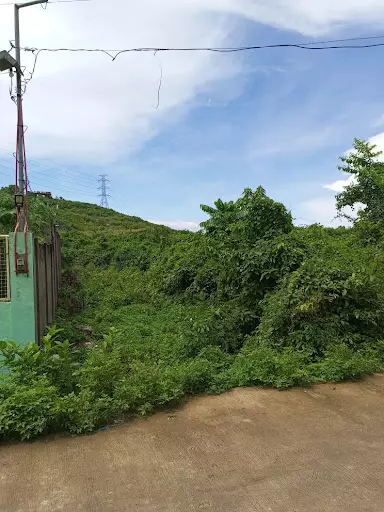 3.9 Industrial Lot in Cogon Compostela for Sale — Industrial Lot in Compostela, Cebu, Philippines — Photo 4