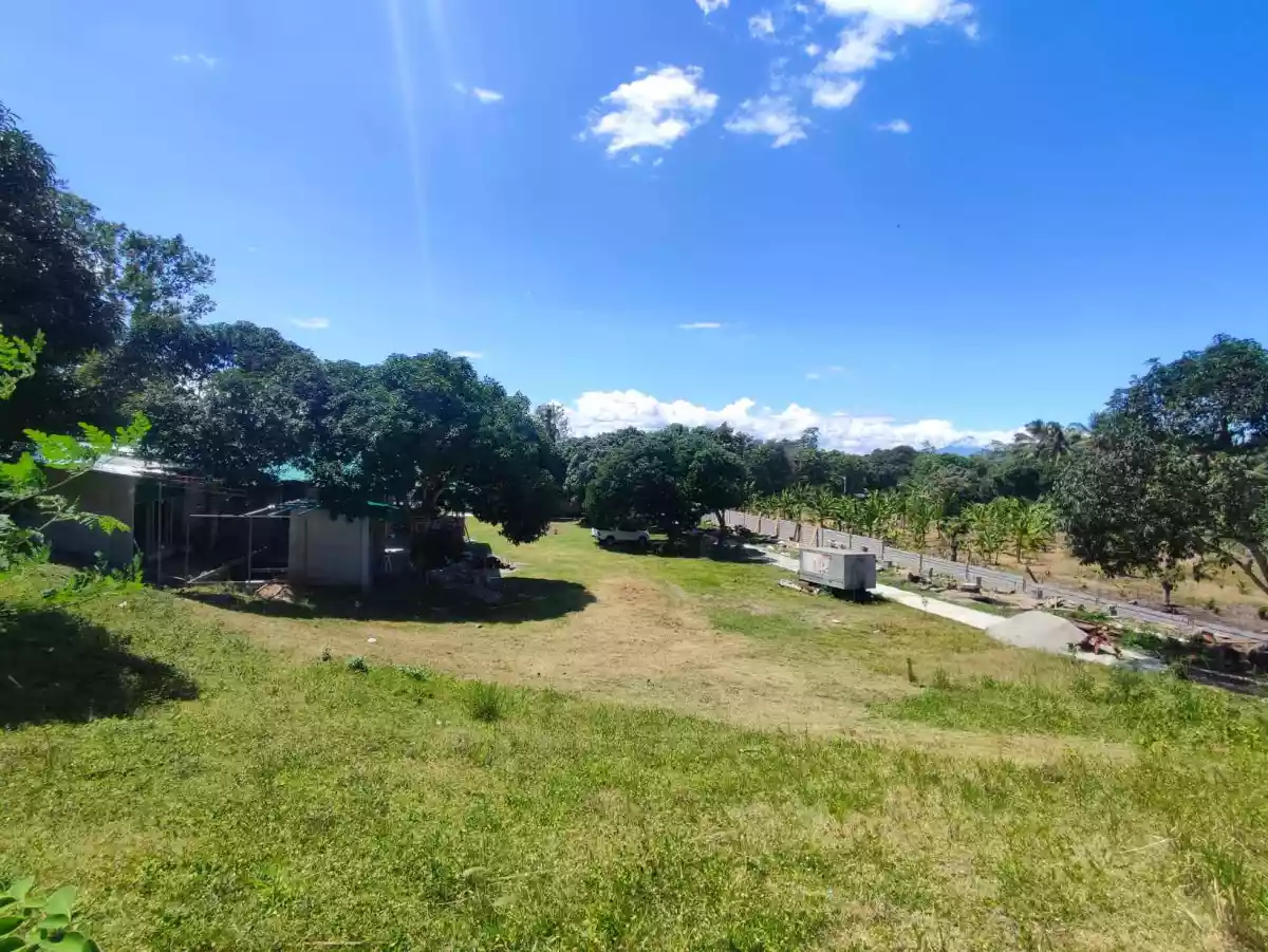 LOT FOR SALE - photo 7