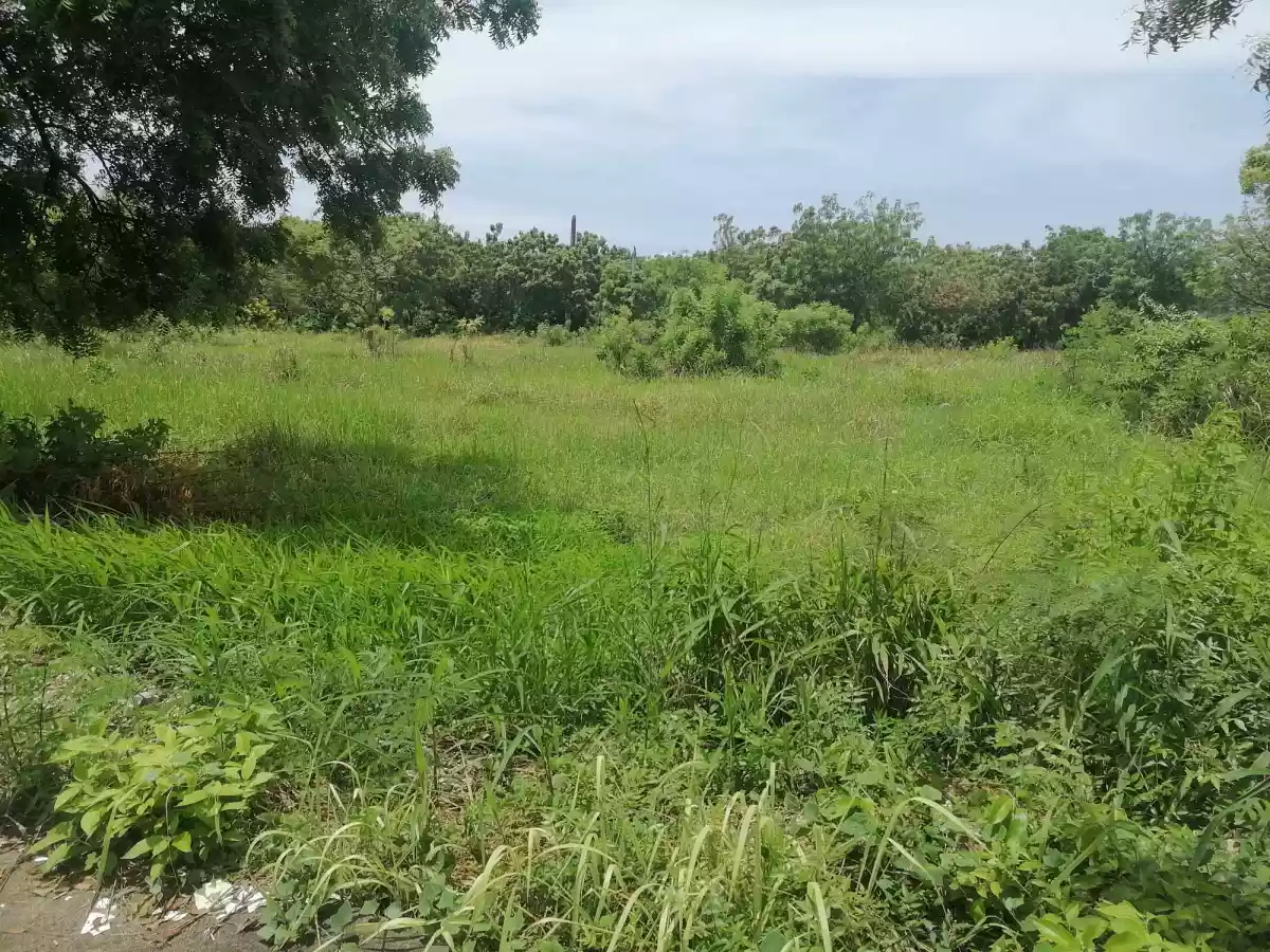 Lot for Sale - photo 4