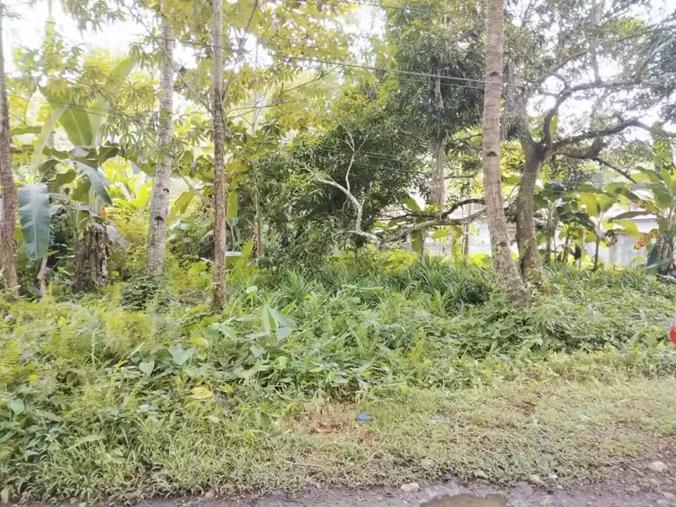 200sqm. lot in Alviola Village Butuan City — Residential Lot in Butuan City, Agusan Del Norte, Philippines — Photo 4
