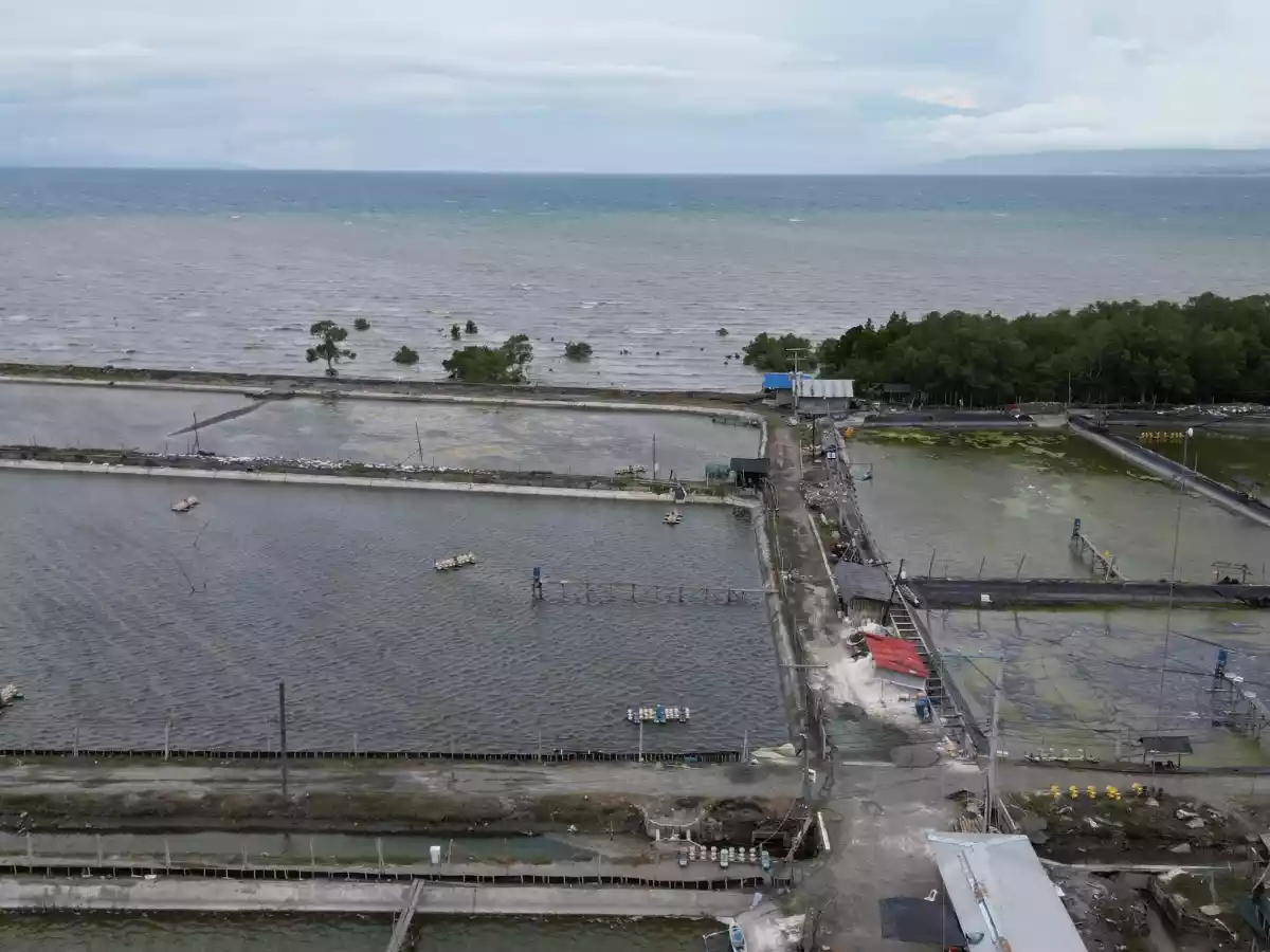 SHRIMP FARM FOR SALE — Agricultural Lot in General Santos City, South Cotabato, Philippines — Photo 5